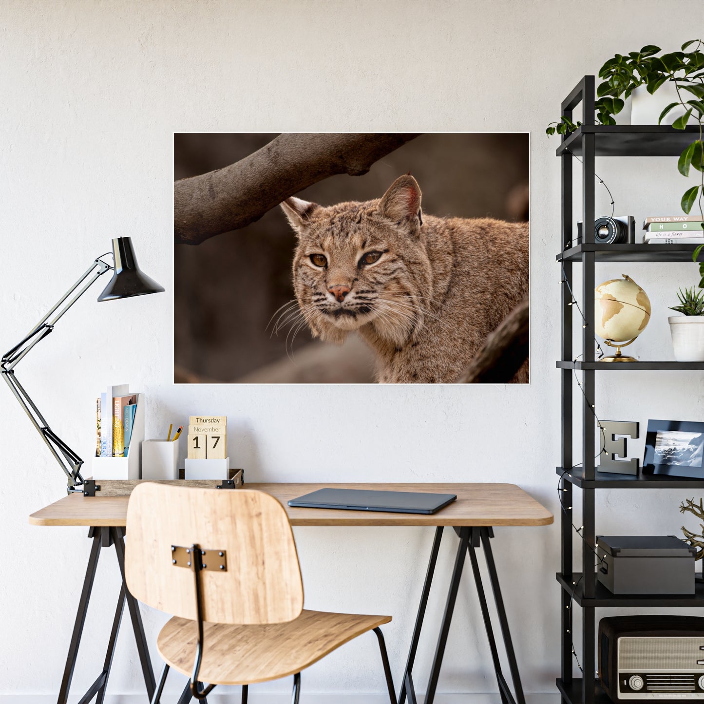Wildlife Gloss Poster - Majestic Bobcat Wall Art