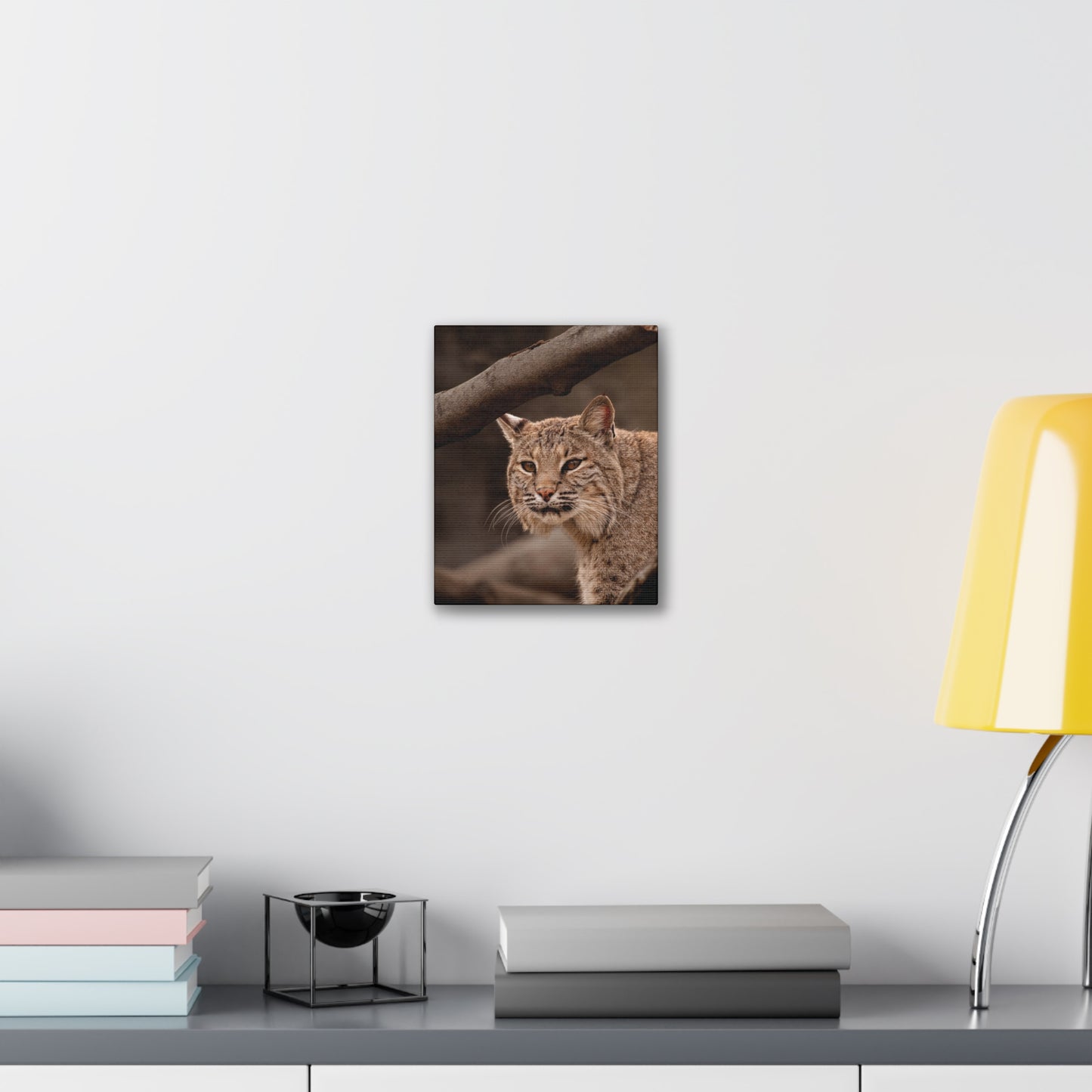 Canvas Art - Bobcat Lynx