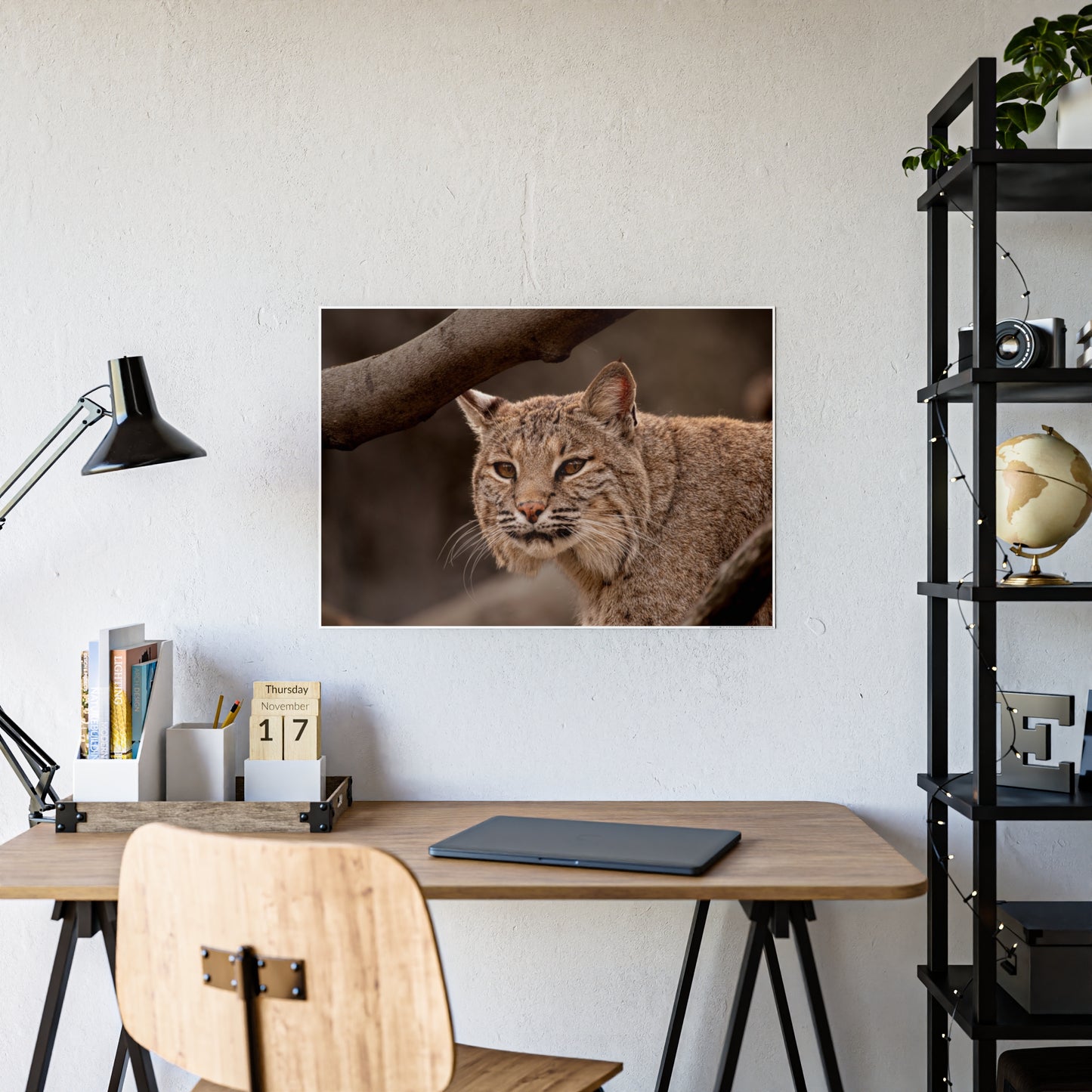 Wildlife Gloss Poster - Majestic Bobcat Wall Art