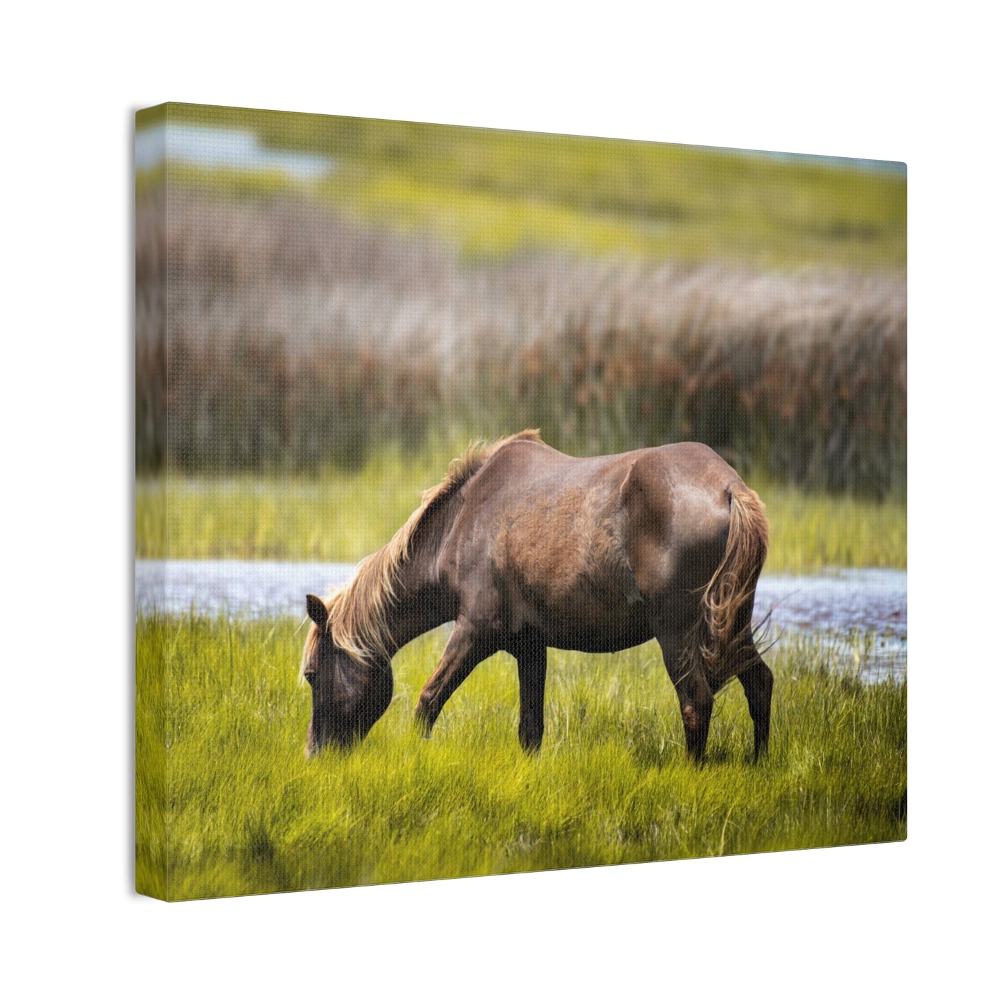 Serene Horse Canvas Art Print - 0.75" Stretched Wall Decor for Nature Lovers