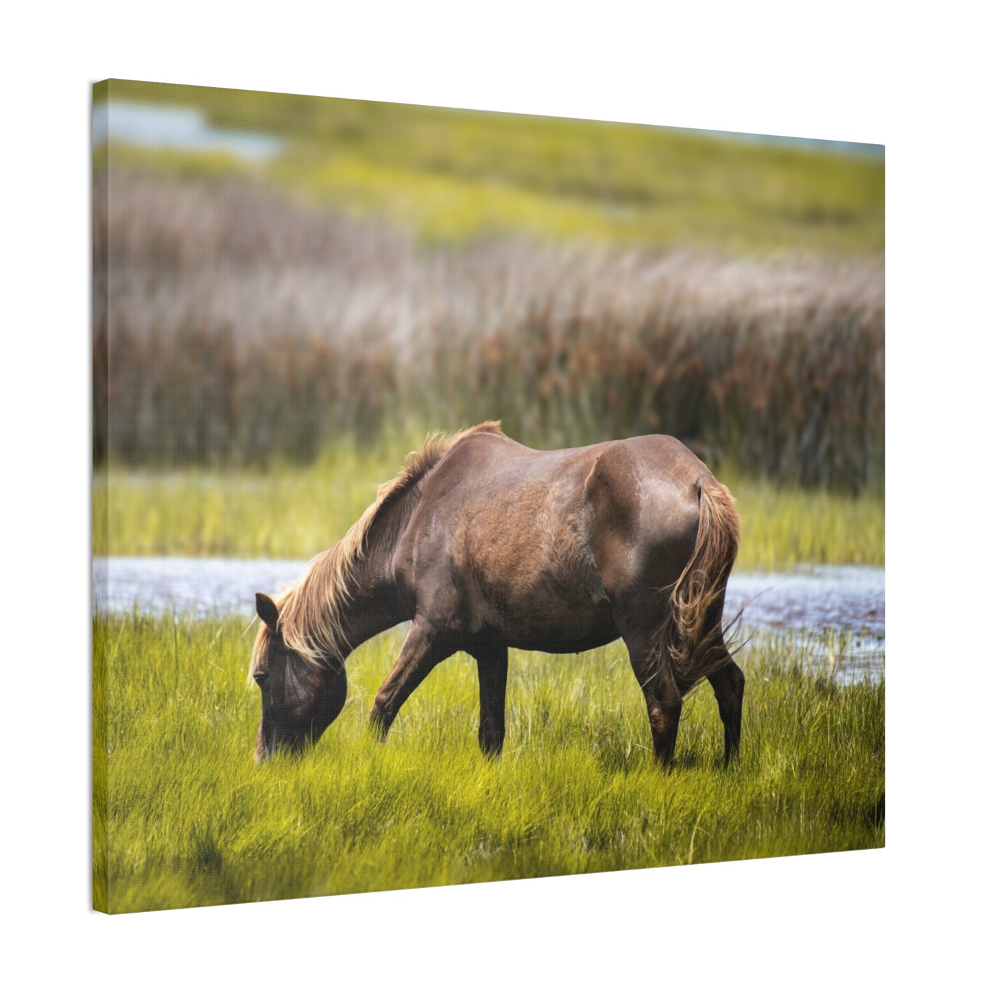 Serene Horse Canvas Art Print - 0.75" Stretched Wall Decor for Nature Lovers