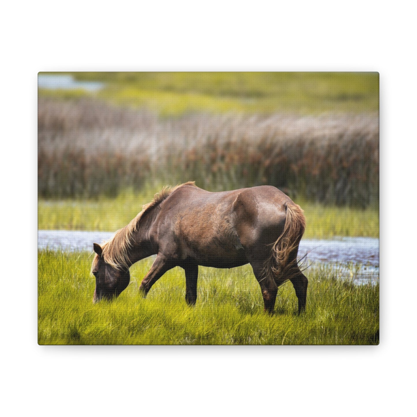 Serene Horse Canvas Art Print - 0.75" Stretched Wall Decor for Nature Lovers