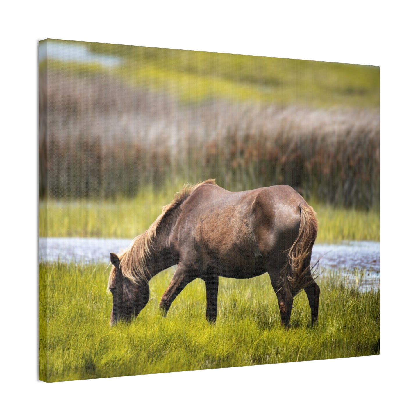 Serene Horse Canvas Art Print - 0.75" Stretched Wall Decor for Nature Lovers