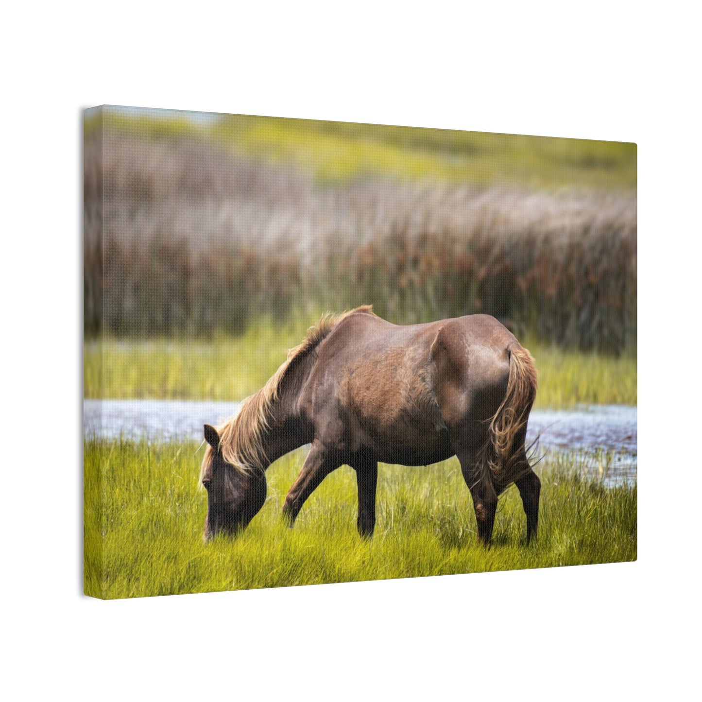 Serene Horse Canvas Art Print - 0.75" Stretched Wall Decor for Nature Lovers