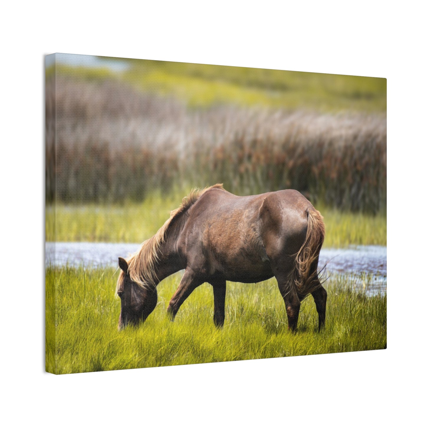 Serene Horse Canvas Art Print - 0.75" Stretched Wall Decor for Nature Lovers