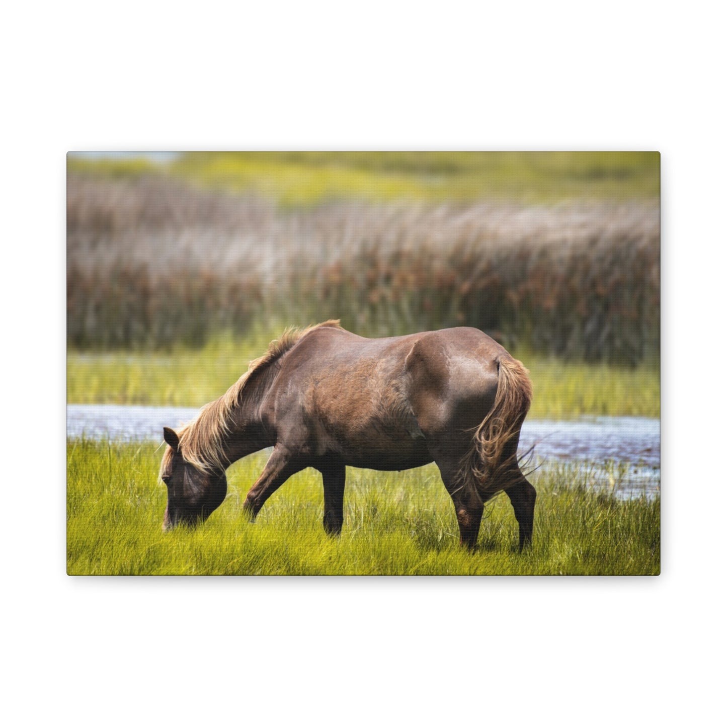 Serene Horse Canvas Art Print - 0.75" Stretched Wall Decor for Nature Lovers