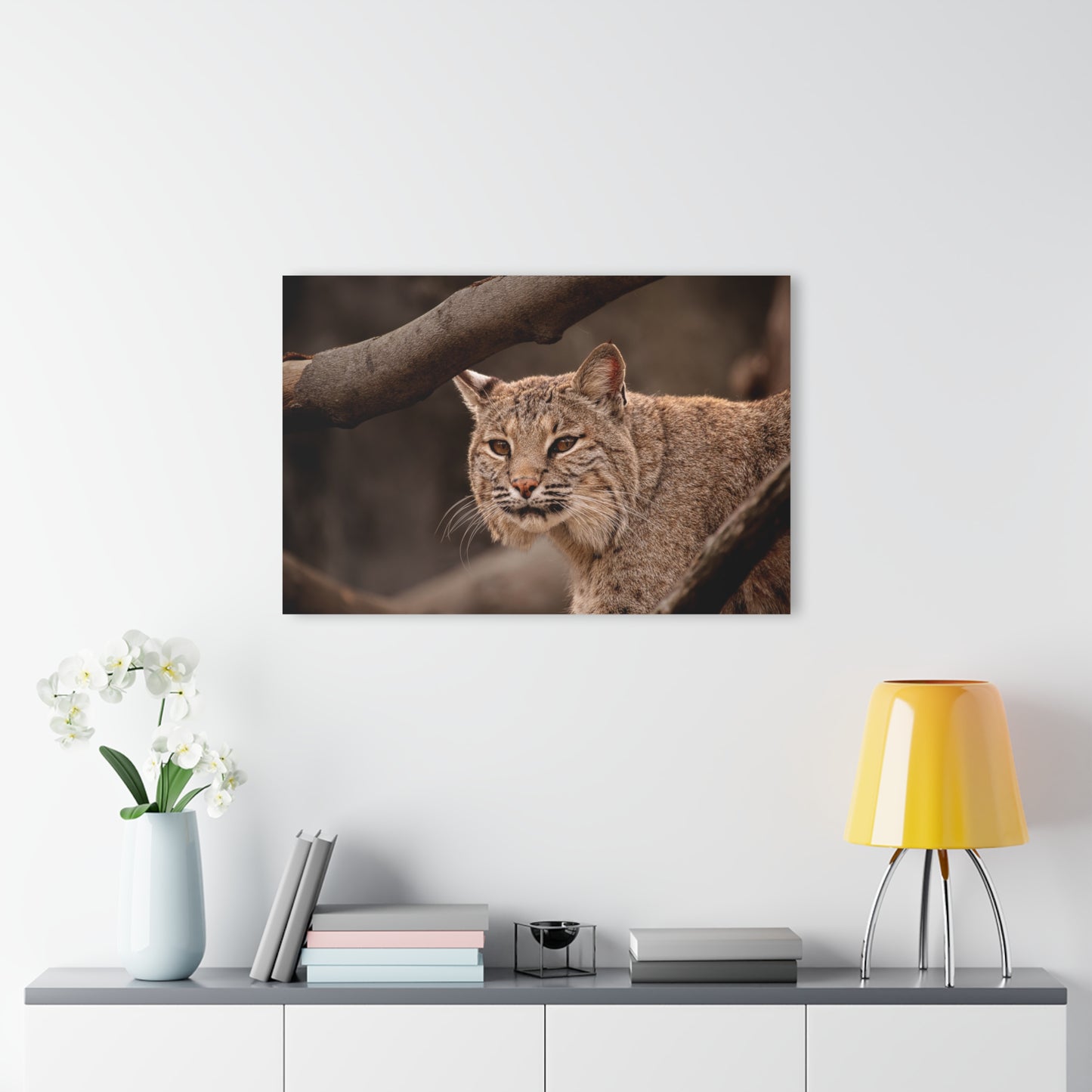 Acrylic Print Bobcat French Cleat Hanging