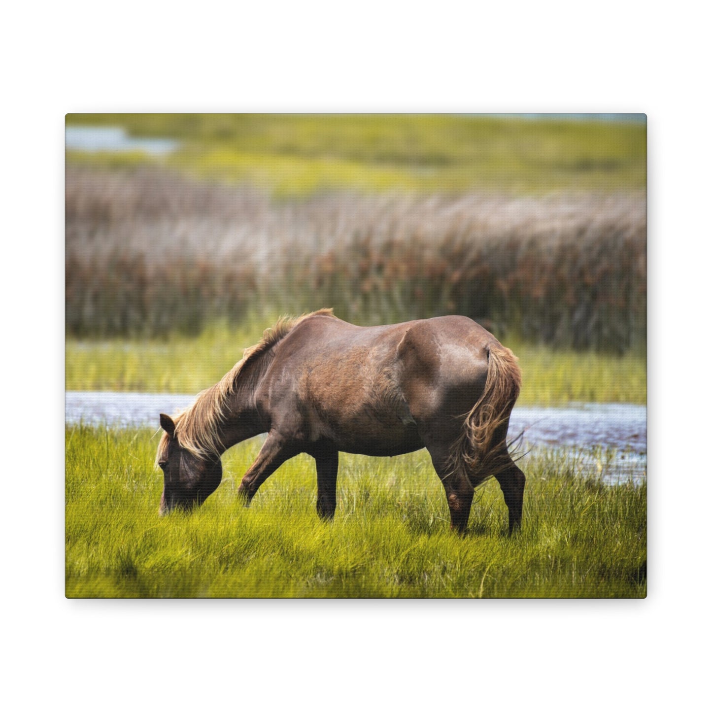 Serene Horse Canvas Art Print - 0.75" Stretched Wall Decor for Nature Lovers