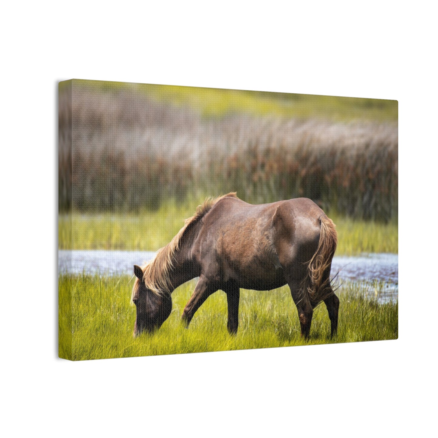 Serene Horse Canvas Art Print - 0.75" Stretched Wall Decor for Nature Lovers