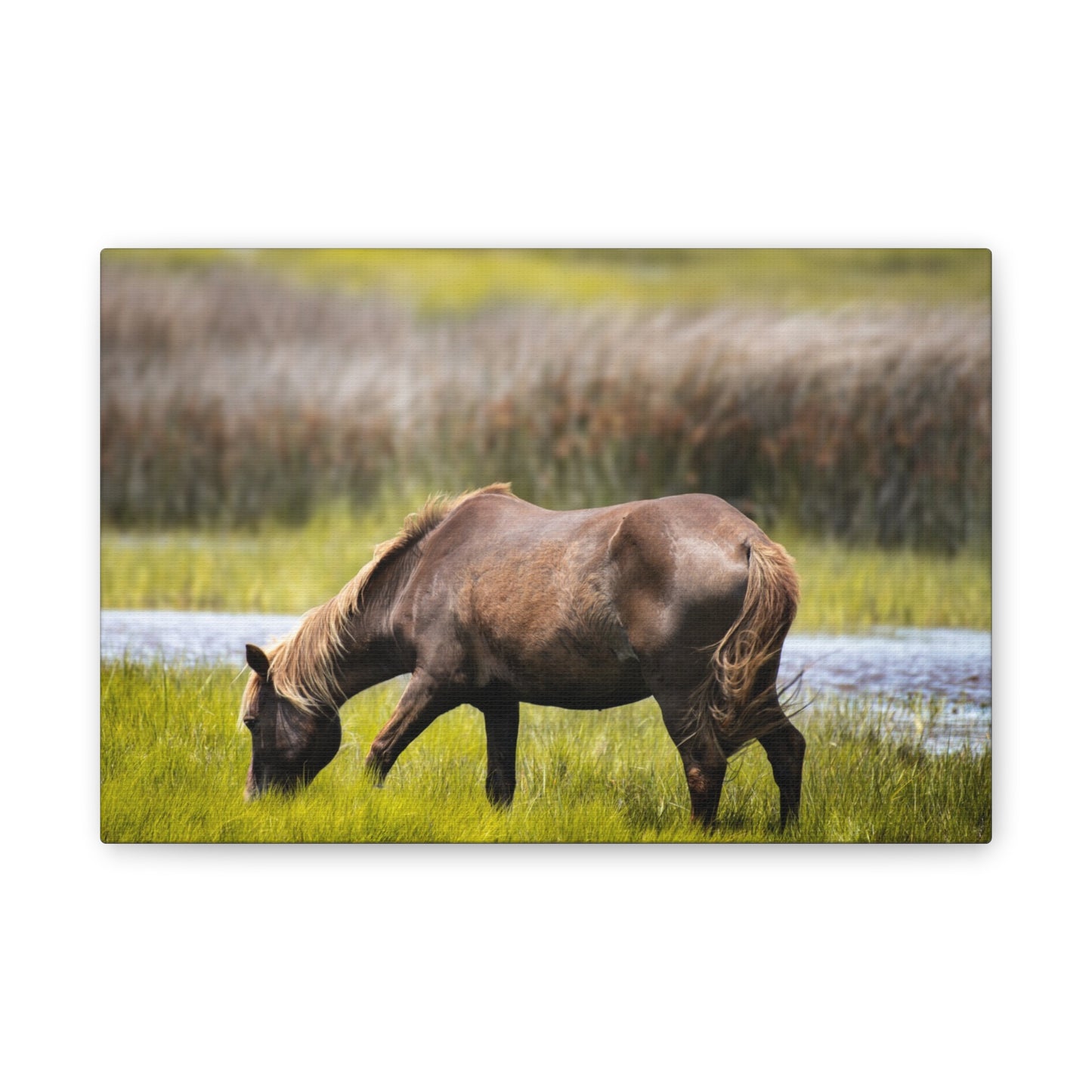 Serene Horse Canvas Art Print - 0.75" Stretched Wall Decor for Nature Lovers