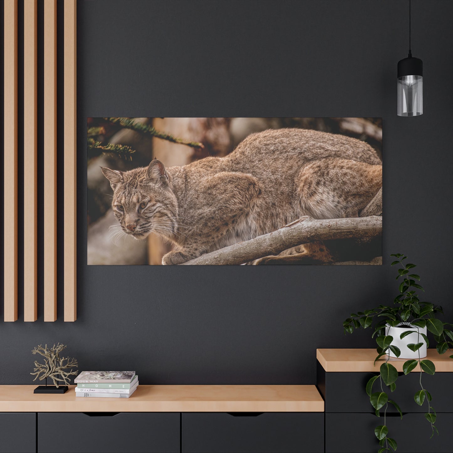 Wild Lynx Canvas Art - Stretched 1.25" Wall Decor