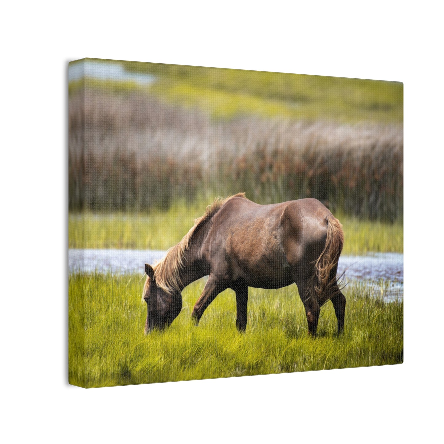 Serene Horse Canvas Art Print - 0.75" Stretched Wall Decor for Nature Lovers